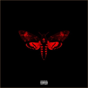 Lil Wayne - I'm Not A Human Being II